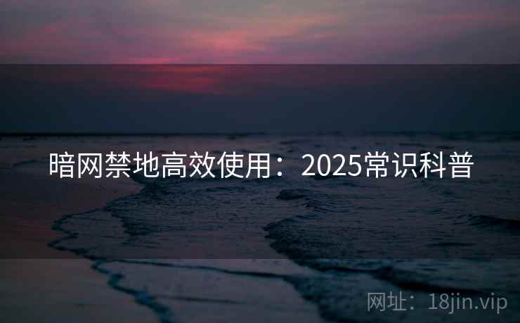 暗网禁地高效使用：2025常识科普
