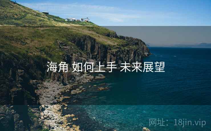 海角 如何上手 未来展望 海角 如何上手 未来展望