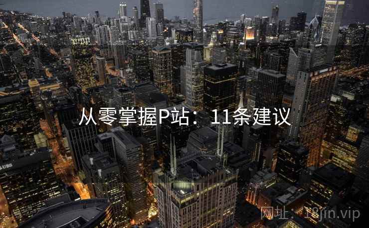 从零掌握P站:11条建议 从零掌握P站:11条建议