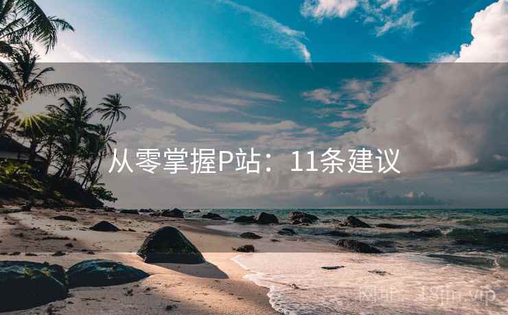 从零掌握P站：11条建议