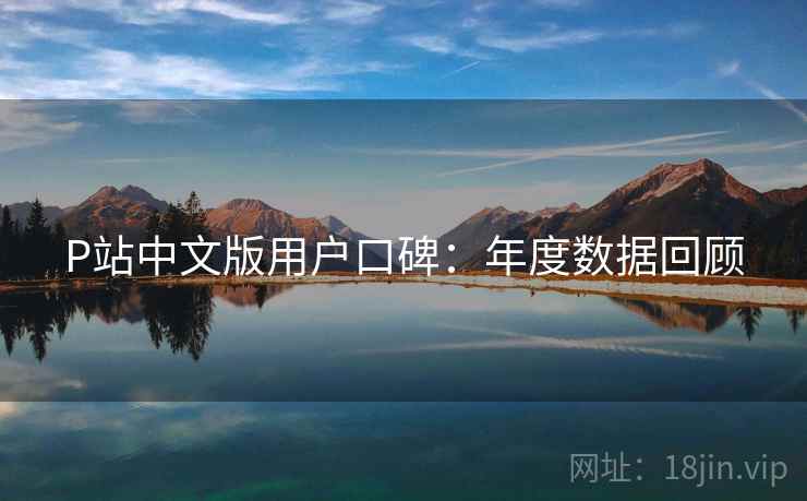 P站中文版用户口碑：年度数据回顾