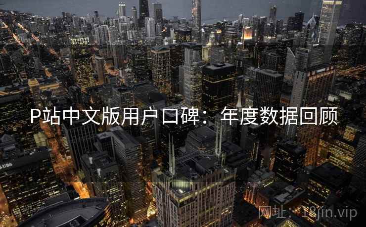 P站中文版用户口碑:年度数据回顾 P站中文版用户口碑:年度数据回顾