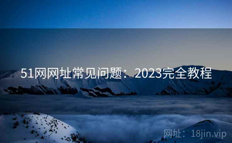 51网网址常见问题：2023完全教程