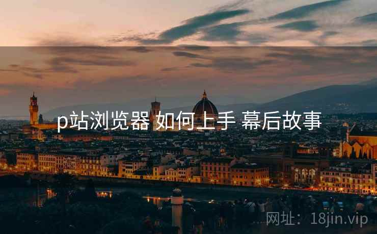 p站浏览器 如何上手 幕后故事 p站浏览器 如何上手 幕后故事