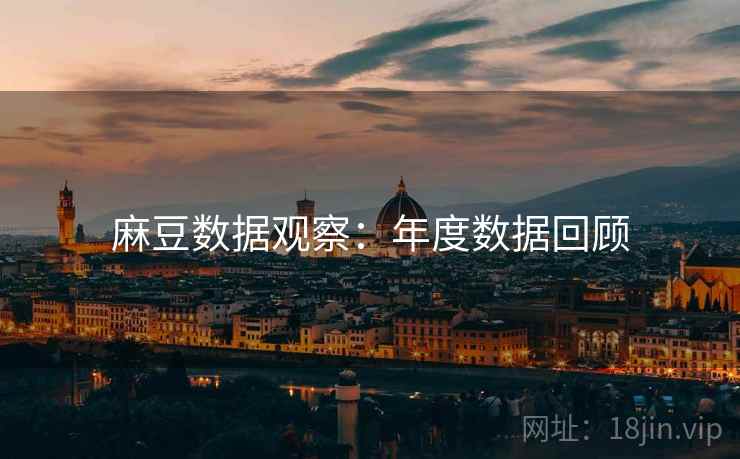 麻豆数据观察：年度数据回顾