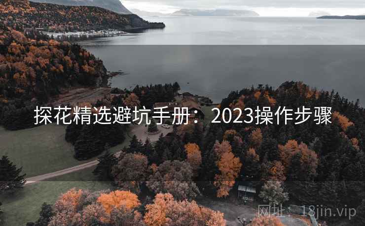 探花精选避坑手册:2023操作步骤 探花精选避坑手册:2023操作步骤