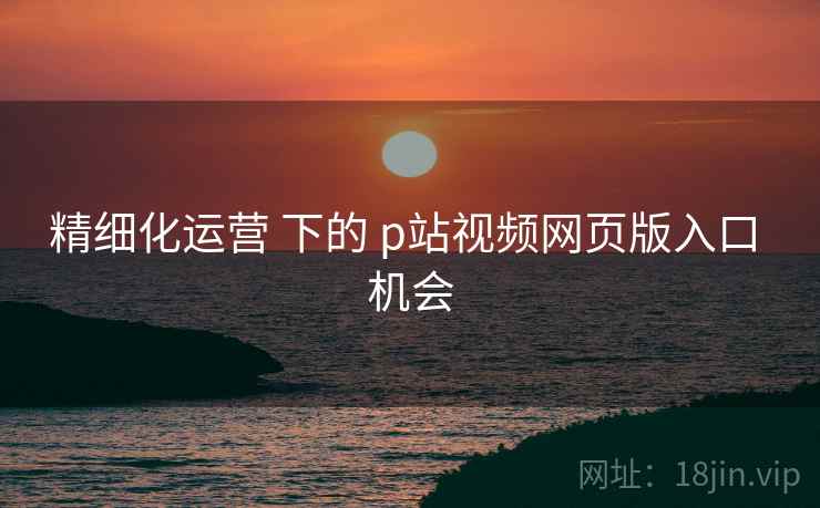 精细化运营 下的 p站视频网页版入口 机会 精细化运营 下的 p站视频网页版入口 机会