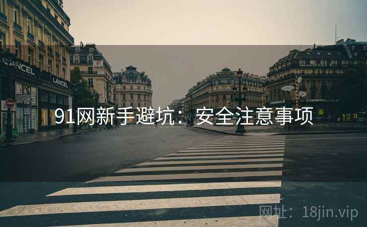 91网新手避坑：安全注意事项