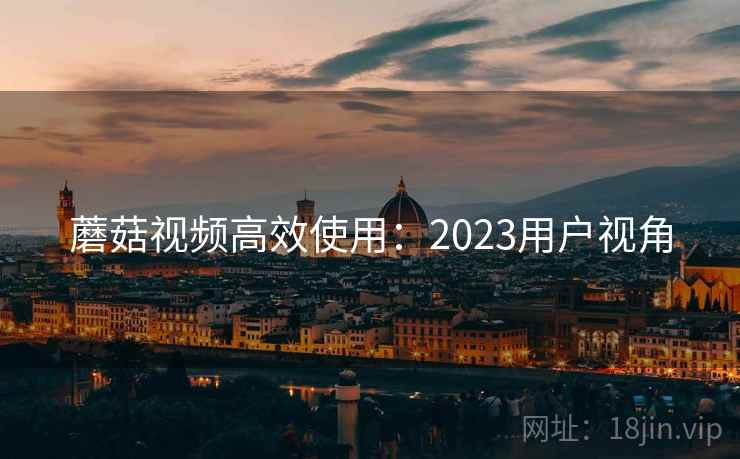 蘑菇视频高效使用:2023用户视角 蘑菇视频高效使用:2023用户视角