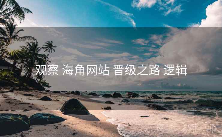 观察 海角网站 晋级之路 逻辑 观察 海角网站 晋级之路 逻辑