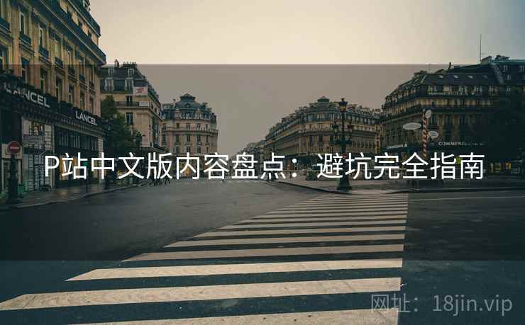 P站中文版内容盘点：避坑完全指南