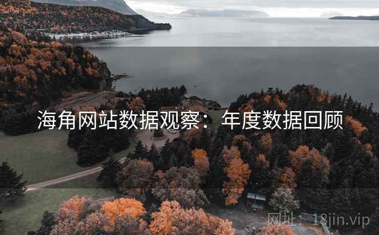 海角网站数据观察:年度数据回顾 海角网站数据观察:年度数据回顾