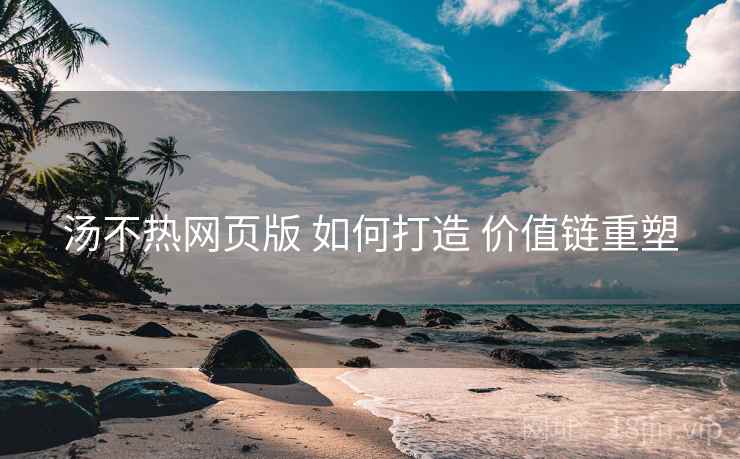 汤不热网页版 如何打造 价值链重塑